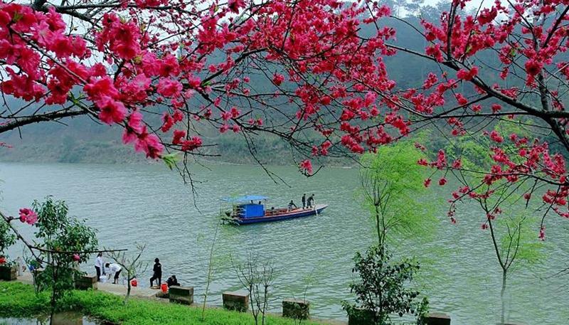هتل Crowne Plaza Huangshan Yucheng, An Ihg