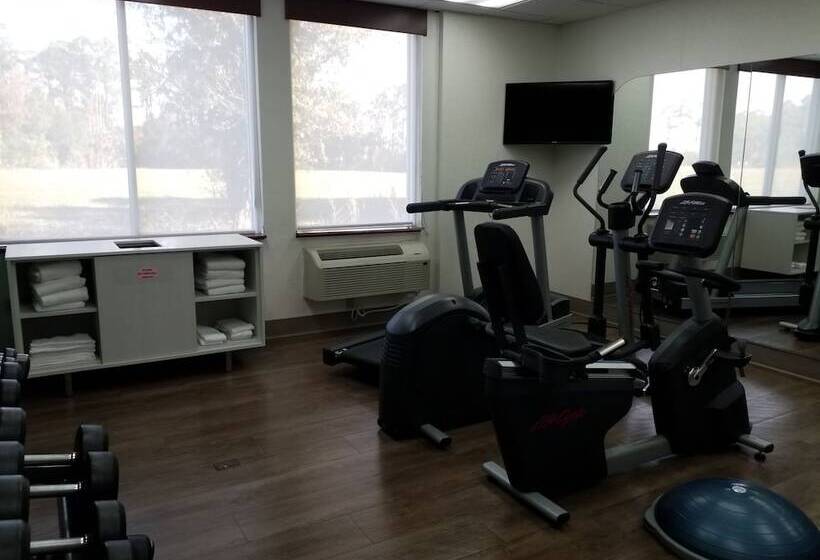 هتل Holiday Inn Express Daytona Beach   Speedway, An Ihg