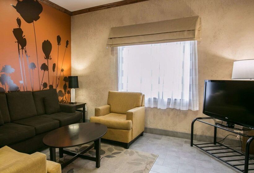 هتل Sleep Inn & Suites Hwy 290 Nw Freeway