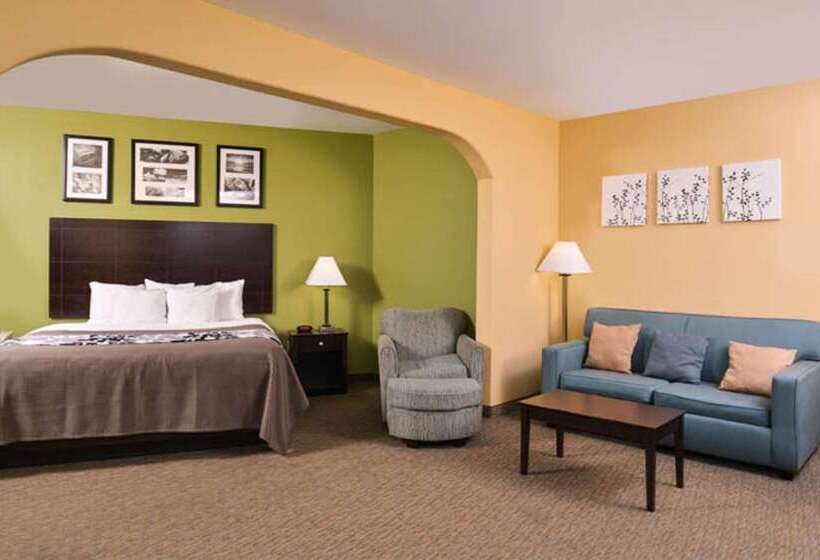 هتل Sleep Inn And Suites Near Downtown North