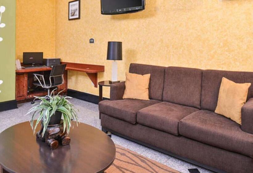 هتل Sleep Inn And Suites Downtown Houston