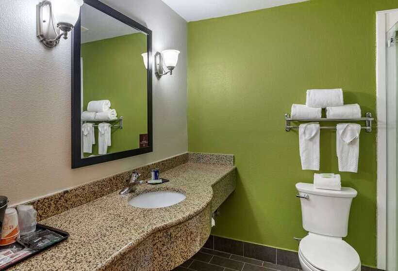 هتل Sleep Inn & Suites Stockbridge Atlanta South