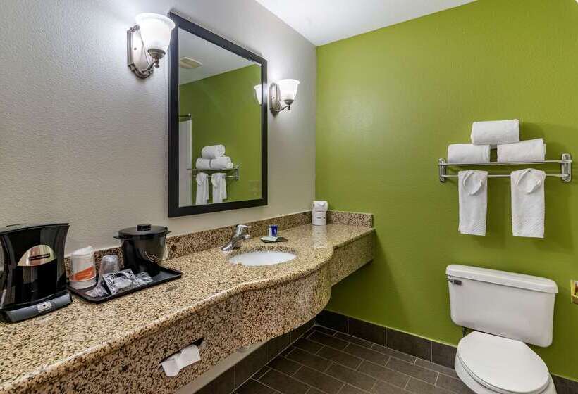 هتل Sleep Inn & Suites Stockbridge Atlanta South