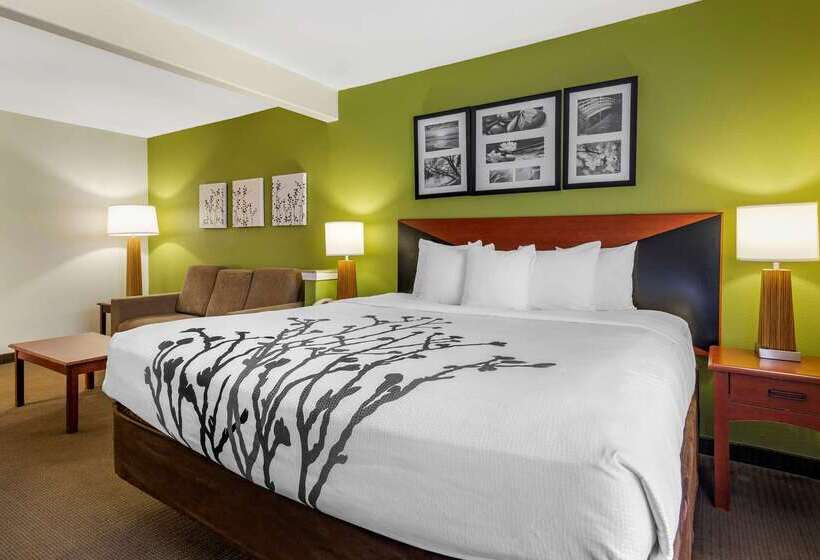 هتل Sleep Inn & Suites Stockbridge Atlanta South