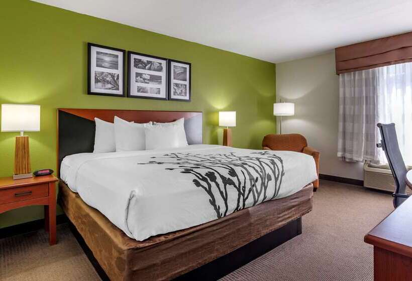 هتل Sleep Inn & Suites Stockbridge Atlanta South