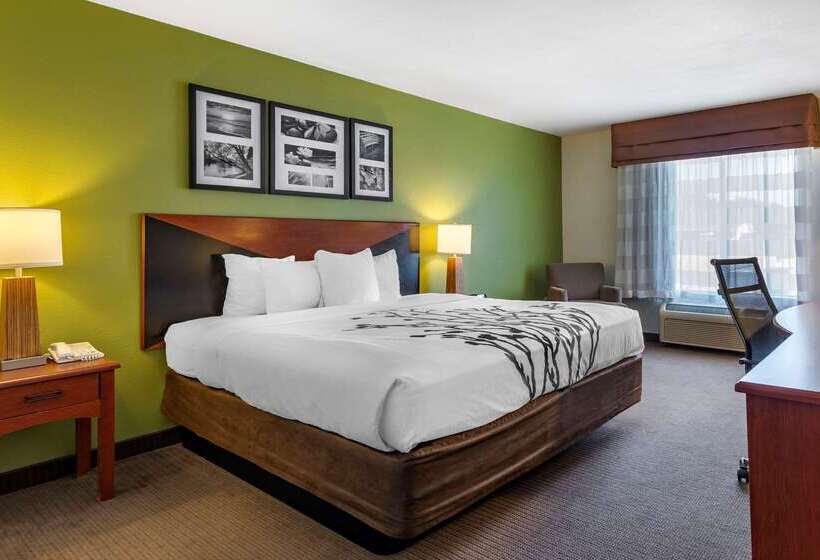 هتل Sleep Inn & Suites Stockbridge Atlanta South