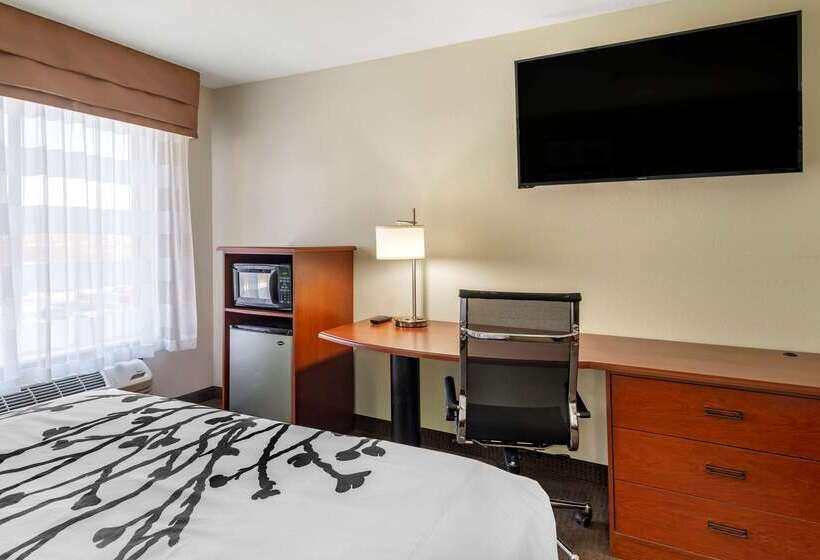 هتل Sleep Inn & Suites Stockbridge Atlanta South