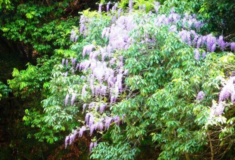 Fotos del hotel Takao Kanko:  9