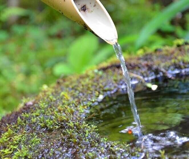 Fotos del hotel Takao Kanko:  19