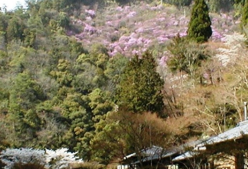 Fotos del hotel Takao Kanko:  12