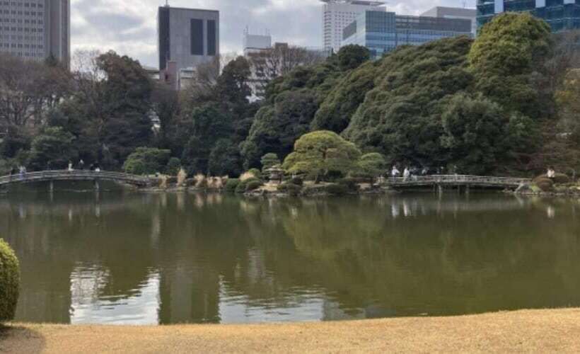 Fotos del hotel Tokyu Stay Shibuya:  10