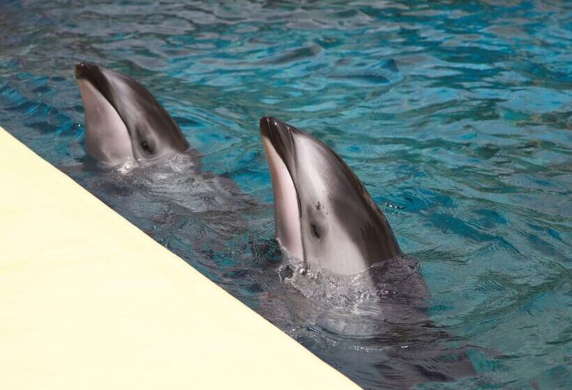 هتل Toyoko Inn Fujisan Numazu-eki Kita-guchi No.2