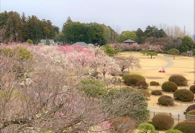 هتل Toyoko Inn Mito-eki Minami-guchi
