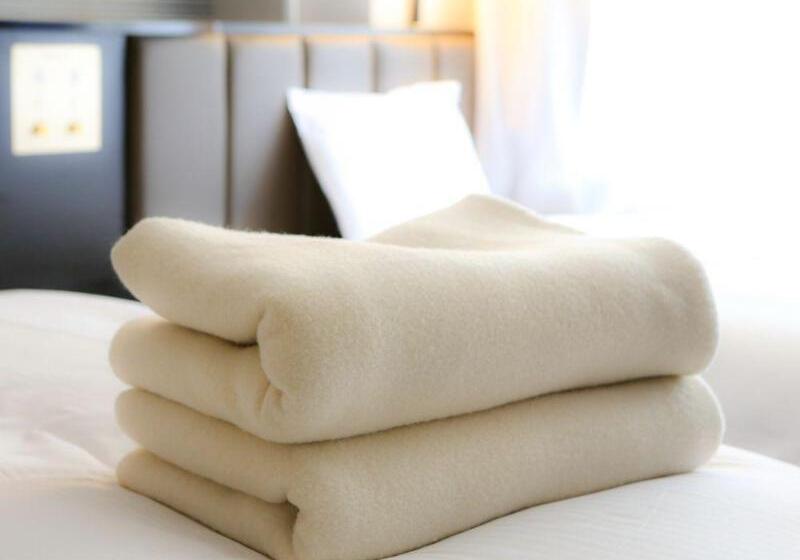 Apa Hotel Stay Toyama