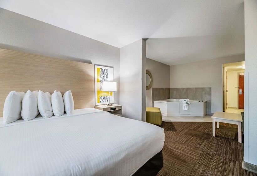 בית מלון כפרי Best Western Auburndale Inn & Suites