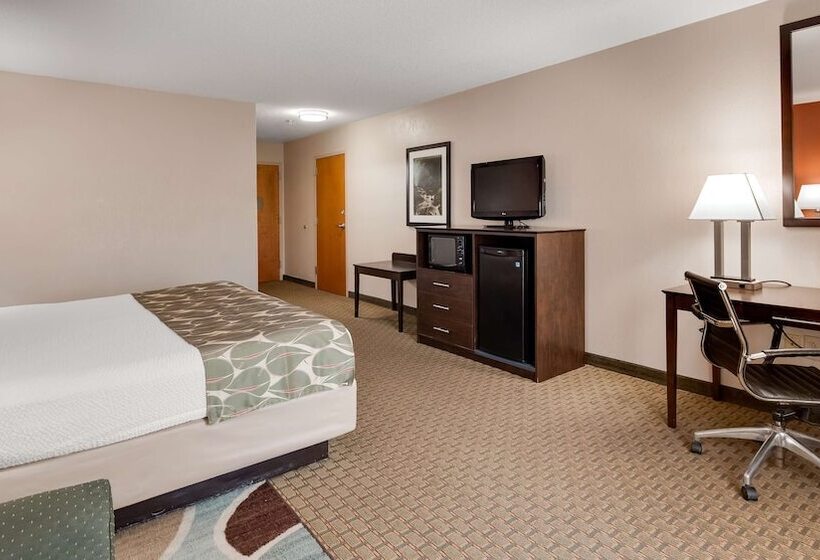 Отель Best Western Executive Inn