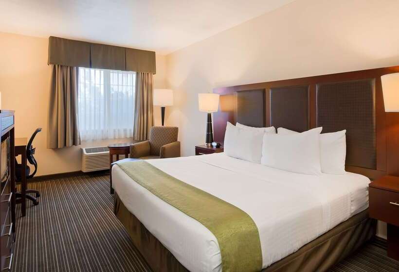 فندق Best Western J. C. Inn