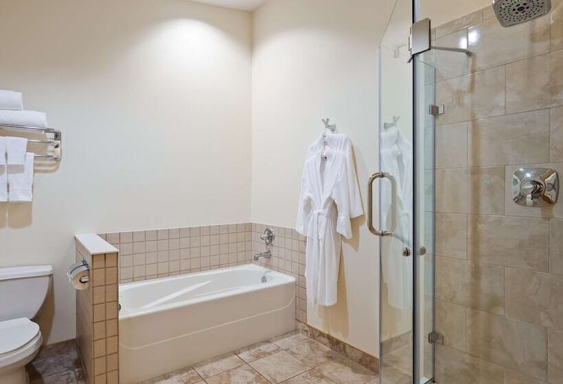Отель Best Western Lodge At River S Edge