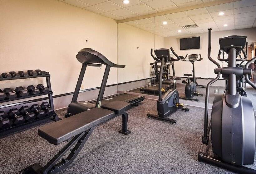 فندق Best Western Magnolia Inn And Suites