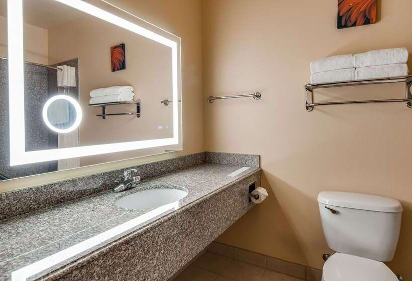 فندق Best Western Plus Battleground Inn & Suites