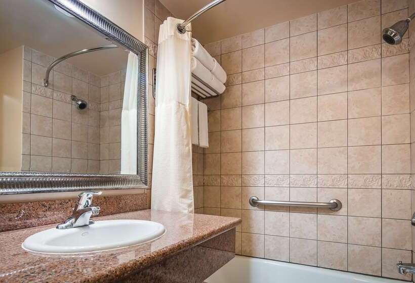 호텔 Best Western Plus Country Park