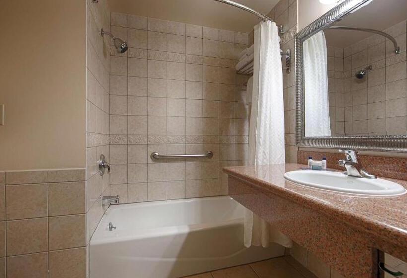 호텔 Best Western Plus Country Park