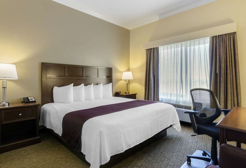 Hotel Best Western Plus Grapevine Inn