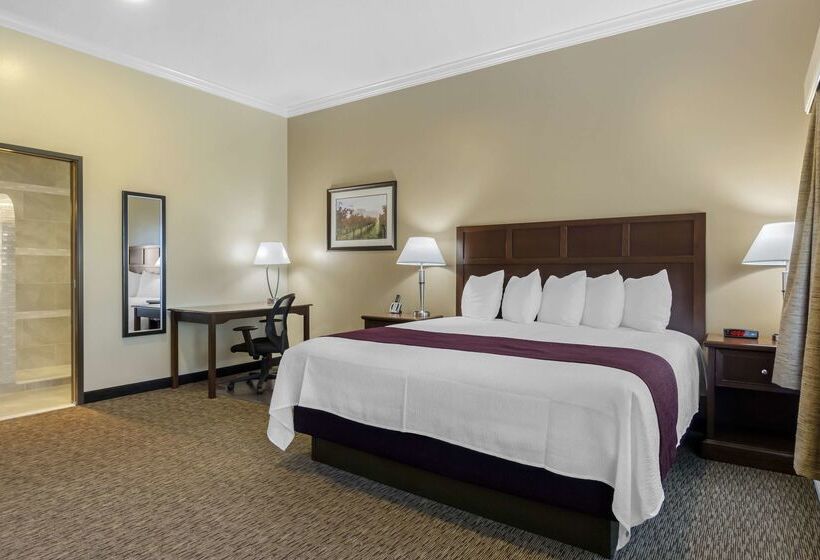 فندق Best Western Plus Grapevine Inn