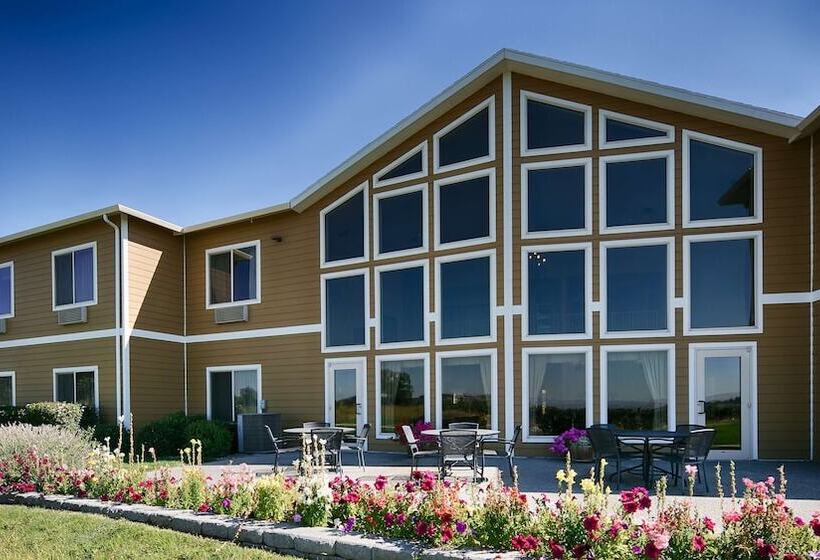 فندق Best Western Plus Grapevine Inn