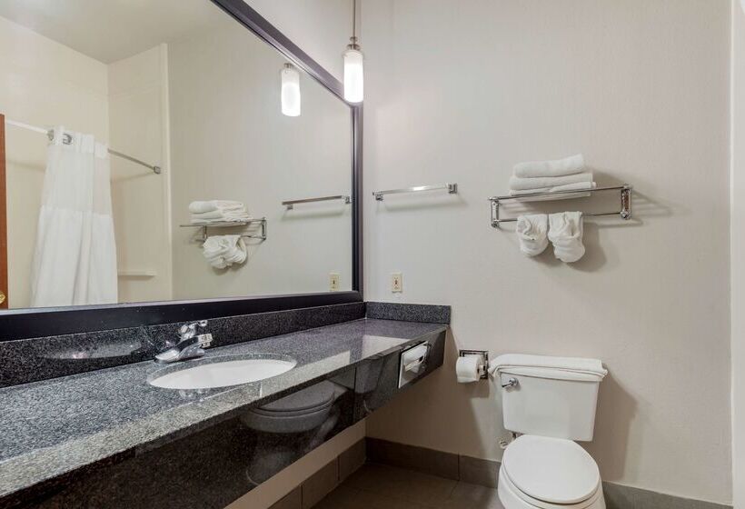 فندق Best Western Plus Mckinney Inn And Suites