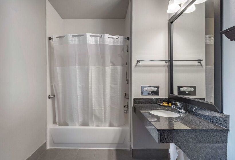 هتل Best Western Plus Mckinney Inn And Suites