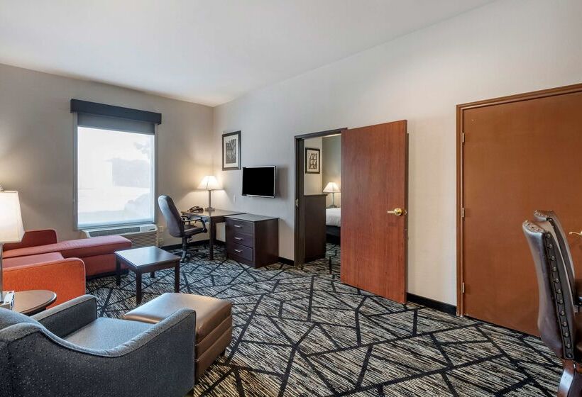 Hotel Best Western Plus Mckinney Inn And Suites