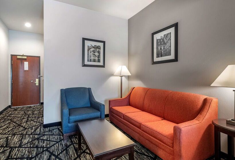 Hotel Best Western Plus Mckinney Inn And Suites