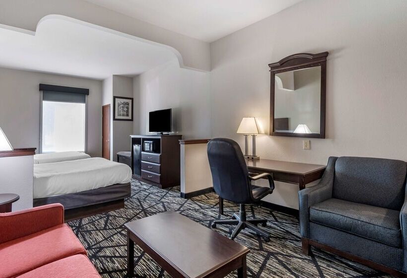 Hotel Best Western Plus Mckinney Inn And Suites