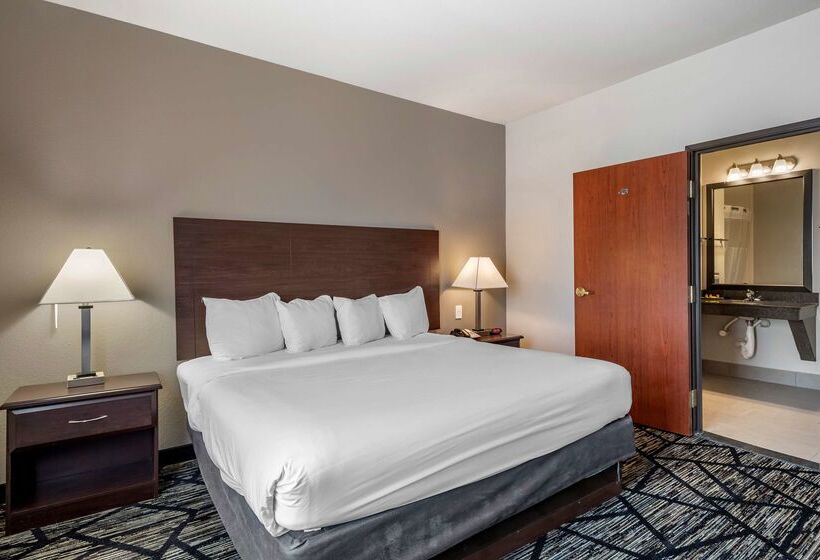 هتل Best Western Plus Mckinney Inn And Suites