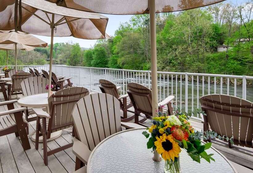 ホテル Best Western Plus River Escape Sylva / Dillsboro