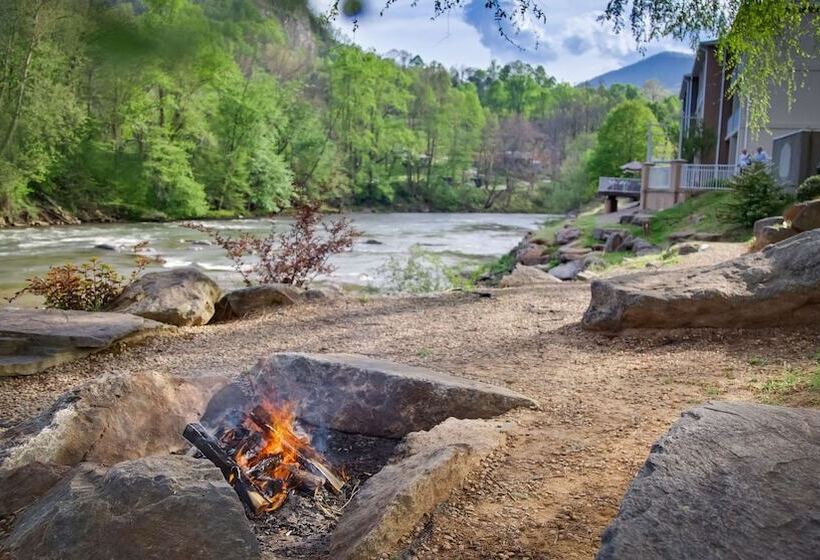 ホテル Best Western Plus River Escape Sylva / Dillsboro