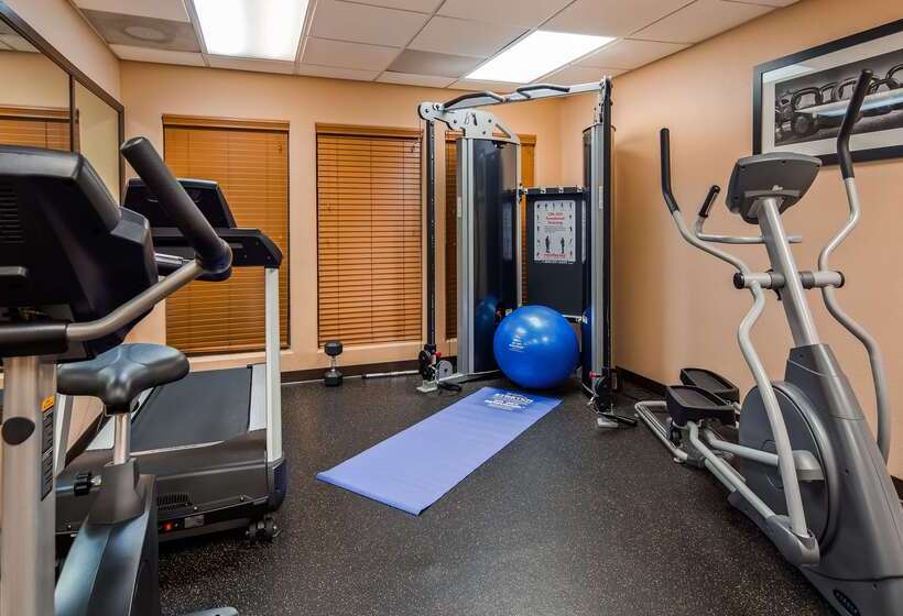 בית מלון כפרי Best Western Plus The Woodlands