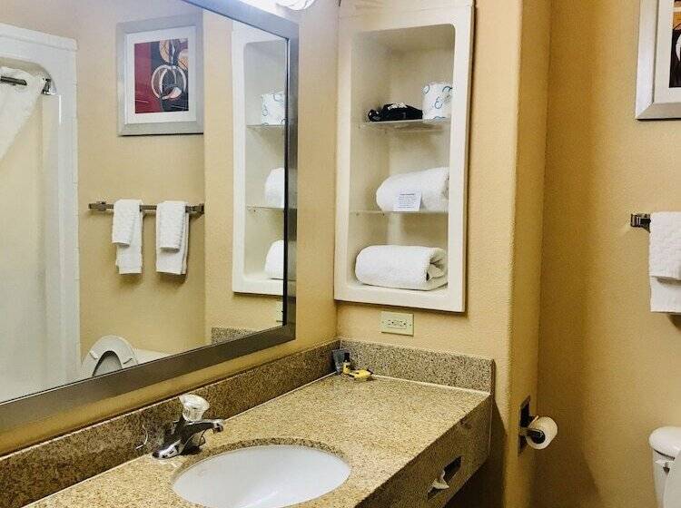 בית מלון כפרי Best Western Plus The Woodlands