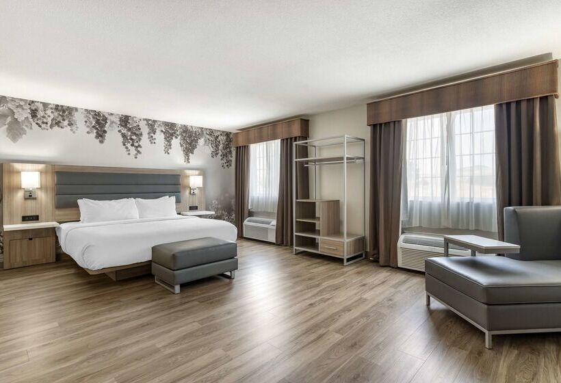 酒店 Best Western Plus Vineyard Inn