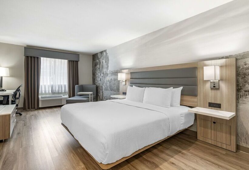 酒店 Best Western Plus Vineyard Inn