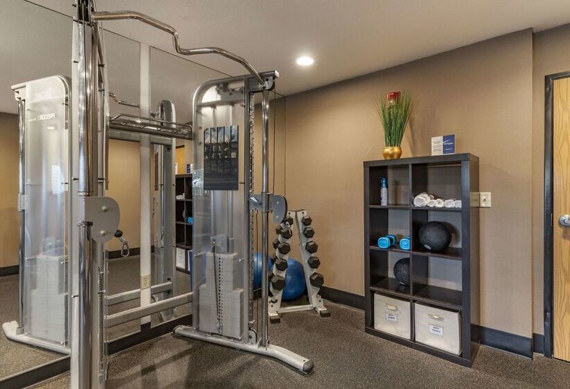 酒店 Best Western Plus Vineyard Inn