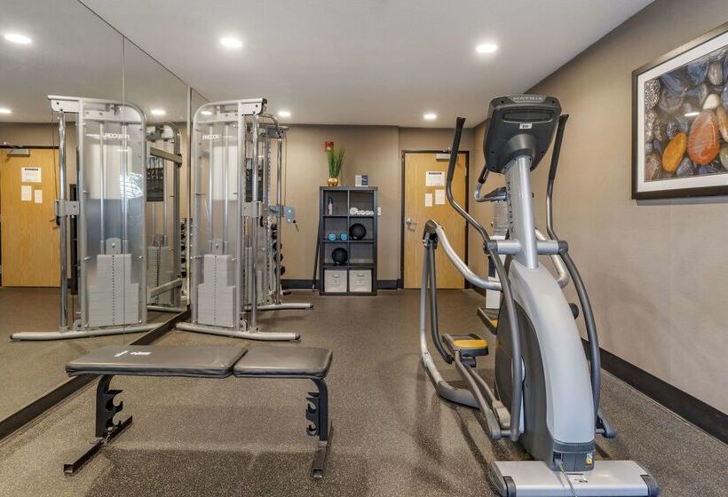 酒店 Best Western Plus Vineyard Inn
