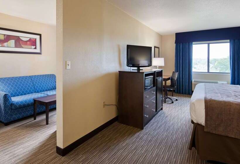 هتل Best Western Port Huron Blue Water Bridge