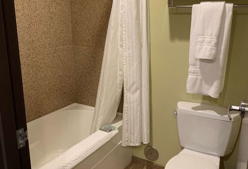 هتل Best Western Snowcap Lodge