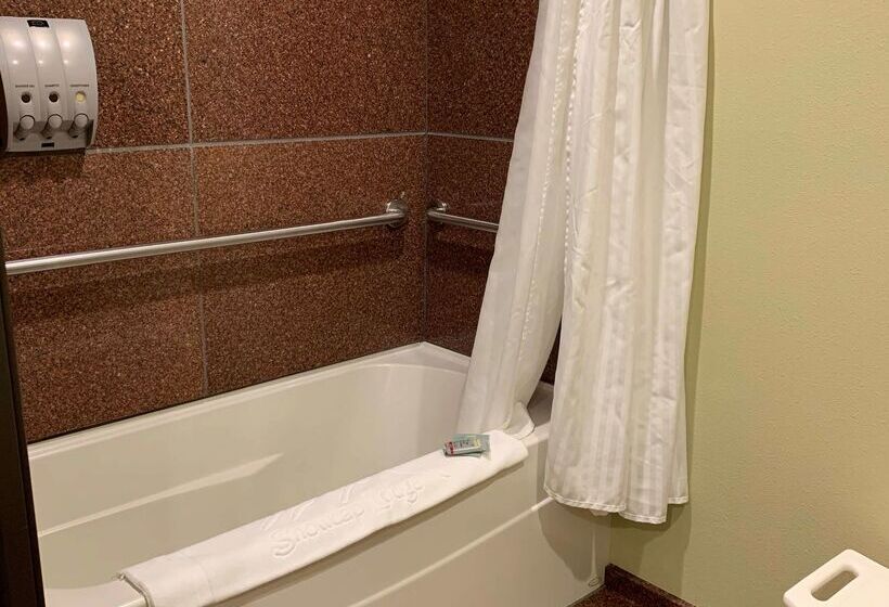 هتل Best Western Snowcap Lodge