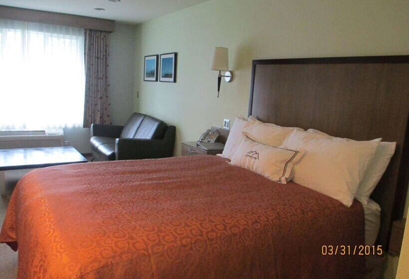 هتل Best Western Snowcap Lodge