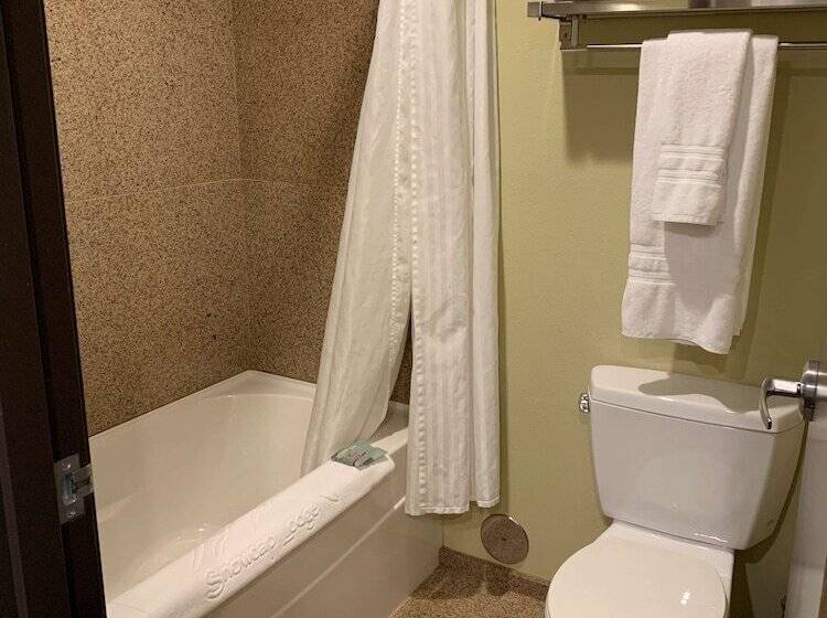 هتل Best Western Snowcap Lodge