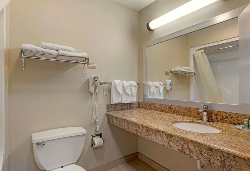 فندق Best Western Ville Platte