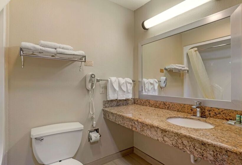 فندق Best Western Ville Platte